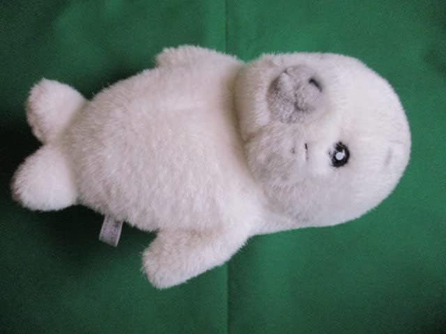 ネイティブアメリカターコイズ装飾牛の頭部オブジェ❣️ショートタイム