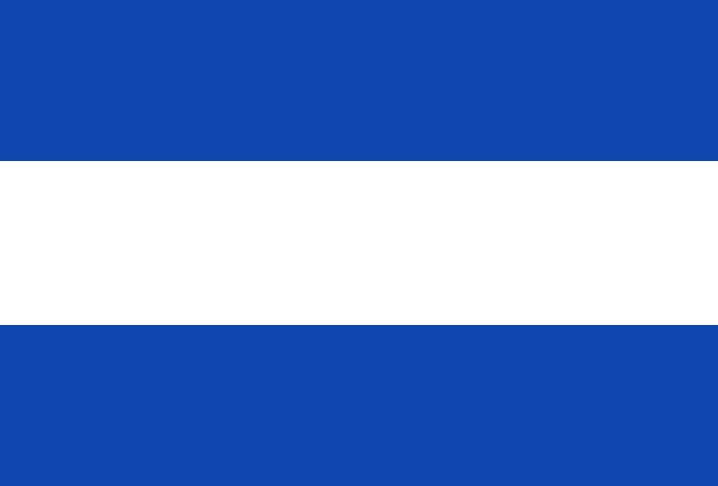 Diemen vlag 1930 grand drapeau paysage de la ville de Diemen