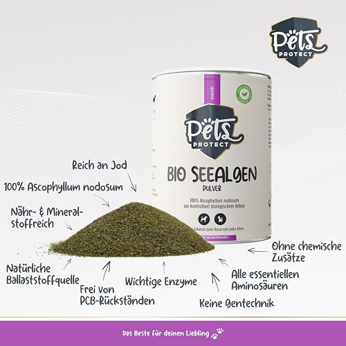 Pets Protect Bio Seealgenmehl für Hunde und Katzen – 100% natürliches Superfood | Barf Ergänzung | natürliche Jodquelle | reines Pulver ohne Zusätze | 150 g | 100% Bio-Qualität DE-ÖKO Zertifiziert