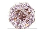 Jet New Amethyst Orgone Vastu Plate Energy Generator Crystal Gemstones Unique Rare Science Construction Vedic Astrology