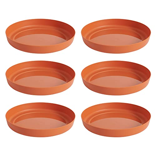Clever Pots Blumentopf Untersetzer - 6x 22,7cm Runde Unterteller aus...