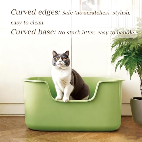 Arenero Grande para Gatos con Laterales Altos Verde miniatura 6