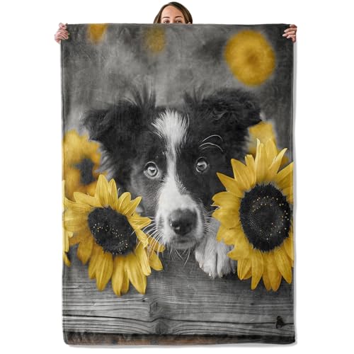 Border Collie Gifts, Dog Blanket for Adults Women Kids, 50x60 in, Cozy Fuzzy Warm Soft Throw Blankets for Bedroom, Camping, Couch, Decor