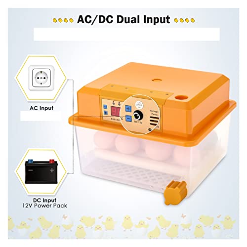 Incubateurs pour œufs à couver automatiques pour 16 œufs de poulet - 2