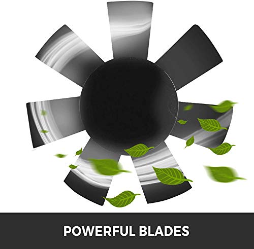 VEVOR Professionale Ventilatore Industriale