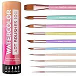 Nicpro 10PCS Professional Watercolour Brushes Set, Watercolor Paint Brushes, Cat Tongue, Liner, Dagger, Wash for Watercolour Artists, Adult, Beginners, Watercolour, Inks, Gouache - with Holder