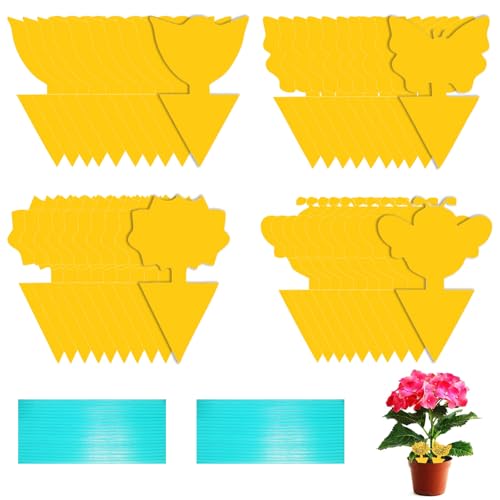 40 pack Sticky Fruit Fly Traps,Double-sided Fungus Gnat Trap