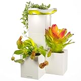 LeGrow Indoor Planter with LED Grow Light, Automatic 12 Hours Timer, 7 Days Watering-Free, 2 Self Watering Pots for Small Plants, Home Decor & Office Desktop, White