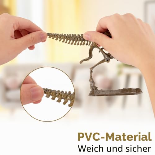MUSCCCM Tyrannosaurus Ausgrabungsset für Kinder,3D Dinosaur Skelett Dig Kit – Ansicht 2
