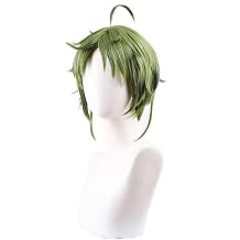 Anime Cosplay Wig Sylphiette Cosplay Wig Short Green Hair Wig Layered Wig with Bangs Heat Resistant Wig Role Play Halloween Wig 33 CM