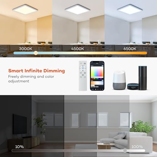 Smart LED Ceiling Light