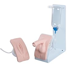 3B Scientific 1020842 Catheterization Simulator Female & Male Set Basic