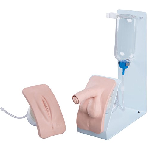 Image of 3B Scientific 1020842 Catheterization Simulator Female & Male Set Basic