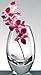 Radiant 11 Vase K2252