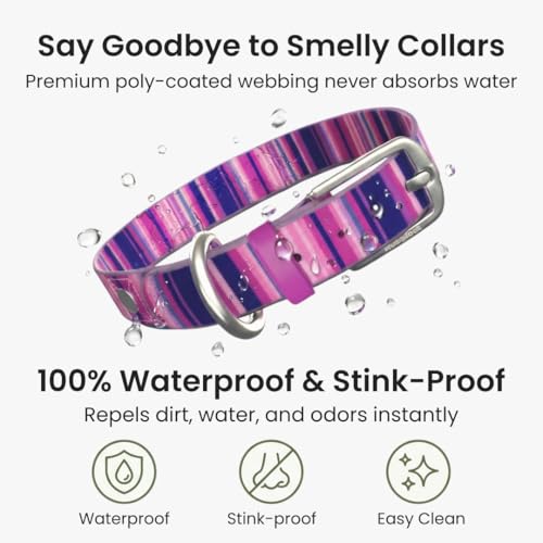 Image of Waterproof Dog Collar - Washable, Stink-Proof & Dirt-Proof - Soft, Odorless, Easy to Clean - Fade-Resistant, Durable for Medium & Large Dogs - Rust-Proof Metal Buckle (Pink-M 1 inch)