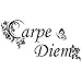 Wandtattoo Carpe Diem - Größe: S - 50cm x 26cm - 23 mögliche Farben