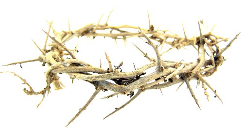 Religious Hand Made 6 Inch Crown Thorns Easter Lent Cross Accent by Religious Gifts