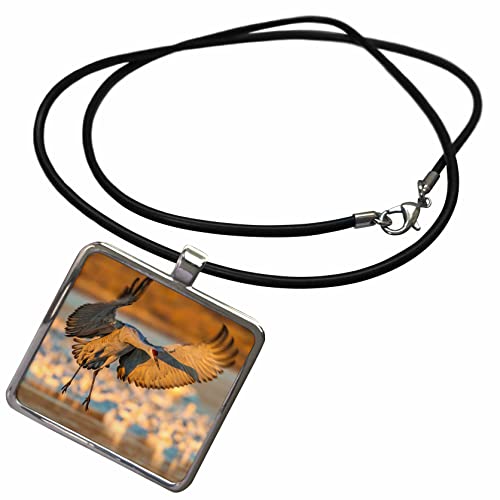 3dRose USA, New Mexico, Bosque Del Apache. Sandhill crane... - Necklace With Pendant (ncl_314936)