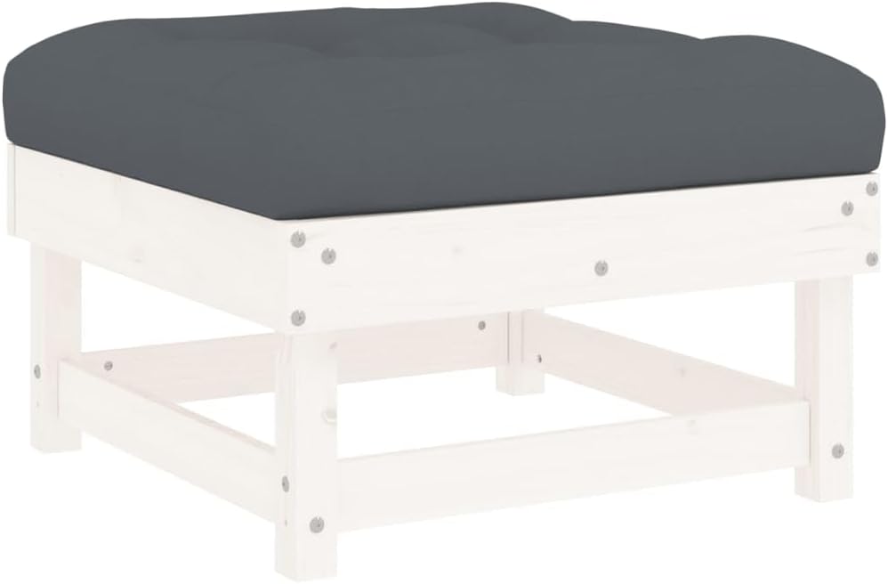 vidaXL Chill in the Garden with This Modern Lounge Set, Comfy Outdoor Seating, Modular Style, Sturdy Pine