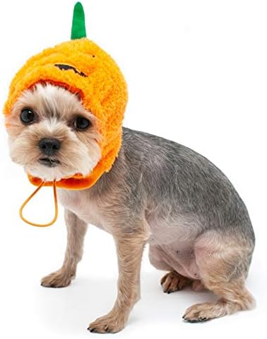 Dogo, Pet Jack-O Hat X-Small
