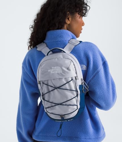 Image of THE NORTH FACE Borealis MINI Backpack