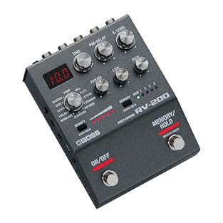 The RV-200 delivers inspiring reverbs and premium sound in the streamlined BOSS 200 series design. Twelve versatile reverb types—including the newly developed Arpverb—provide everything from subtle spatial color to complex, dreamy textures for ambien...