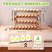 Egg Holder For Fridge - 4 Tier Sliding Refrigerator Egg Organizer, Automatic Rolling Dispenser, Space-Saving Side Door Storage Rack, Generous Design Accommodates Up To 30 Eggs, Grey