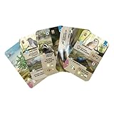 Zoom IMG-1 asmodee forest shuffle dartmoor gioco Zoom IMG-1 asmodee forest shuffle dartmoor gioco