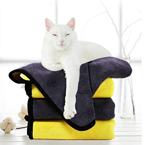 Serviette chien super absorbante pour le retour de promenade