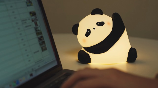 Amazon.com: YR YRHH-PET Kungfu Pose Panda Night Light, LED Squishy