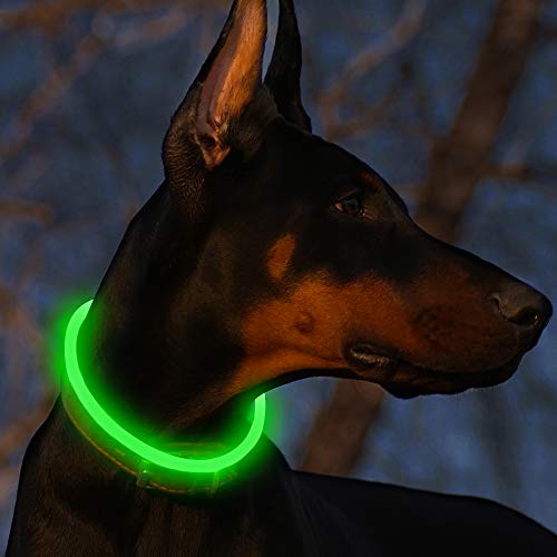 Bseen AG13 Button Battery NO USB Cable LED Dog Collar Cuttable Water Resistant Glowing Dog Collar Light Up Pet Necklace Loop for Small, Medium, Large Dogs (Green)