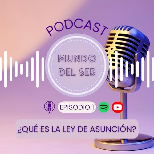 01 - &iquest;Qu&eacute; es la Ley de Asunci&oacute;n?