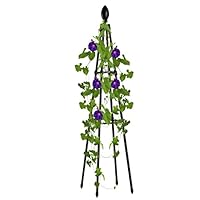 Arrovarp Outdoor Clematis Vine Jasmine Support, Metal Wire Trellis for Climbing Plants and Flowers, Garden Rattan Plant Support With Pot Frame Stand