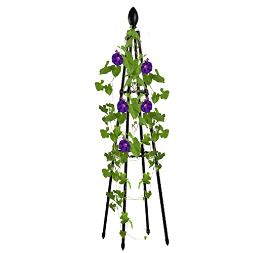 Arrovarp Outdoor Clematis Vine Jasmine Support, Metal Wire Trellis for Climbing Plants and Flowers, Garden Rattan Plant Support With Pot Frame Stand