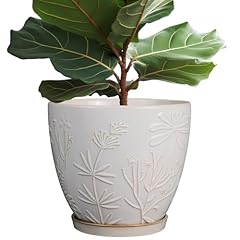 Flowers and Plants White