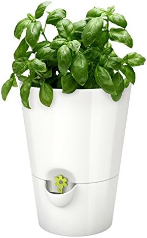 Emsa 514244 Kräutertopf für frische Kräuter, Selbstbewässerung, W...