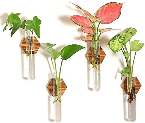 HUSSLEAN Plant Propagation Station Terrarium,Glass Propagation Stations Wall Hanging Planter Tubes for Garden Office Decoration,Plant Holder Lover Gifts (4 Vase)