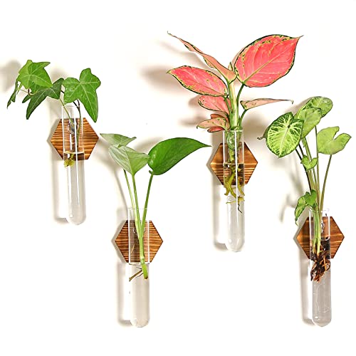Husslean Plant Propagation Station Terrarium,Glass Propagation Stations Wall Hanging Planter Tubes For Garden Office Decoration,Plant Holder Lover Gifts (4 Vase) #TOP27