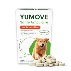 YuMOVE Complément pour les articulations des jeunes chiens – 60 comprimés – Soutien articulaire pour chiens actifs contenant moules vertes, glucosamine, chondroïtine – Pour l’agilité du chien