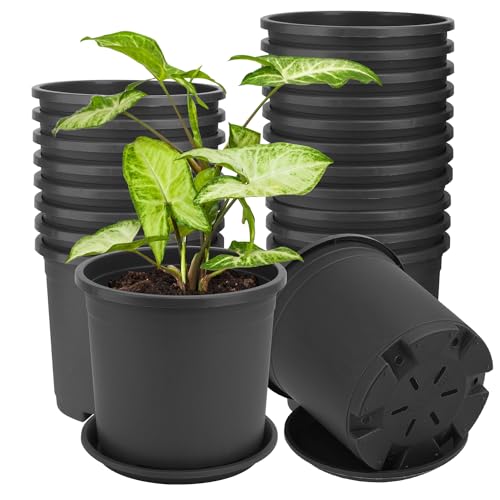 IHDYPPEW 26 Pack 1 Gallon Nursery Pot, 6 Inch Garden Pots, Plastic Flower Pot with Matching Tray (Black)