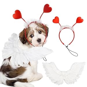 ShuRung Valentinstagskostüm-Set Federflügel Herz-Stirnband