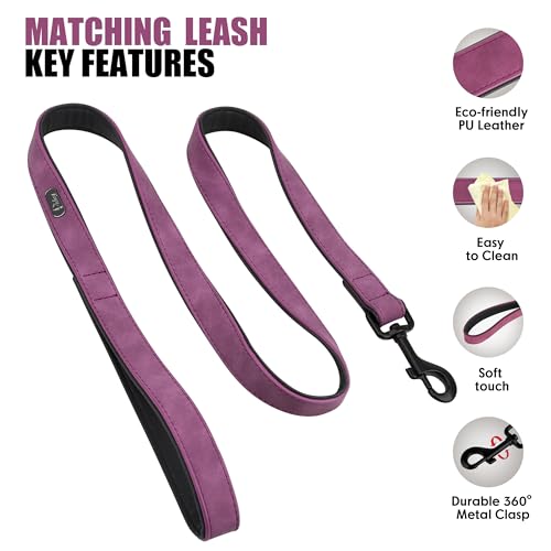 Image of Didog PU Leather Dog Collar and Leash Set, Soft Padded, Purple, Neck 18-22 inch