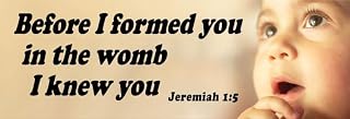 Before I Formed You Pro-Life Bumper Sticker