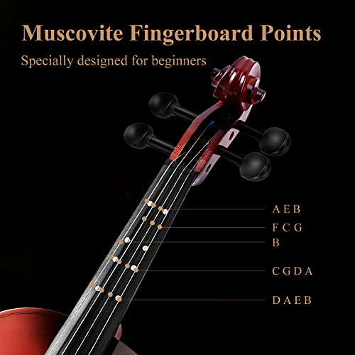 Image of Eastar 1 /2 Violin Set for Beginners, Half Size Fiddle with Hard Case, Rosin, Shoulder Rest, Bow, and Extra Strings (Imprinted Finger Guide on Fingerboard), EVA-2