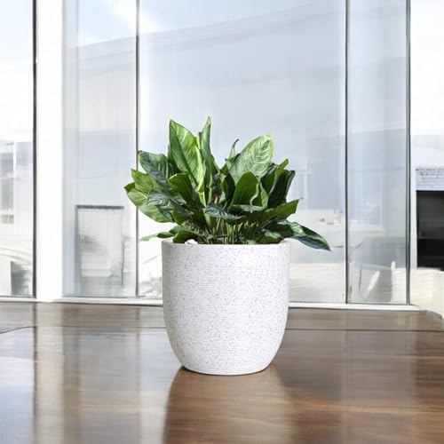 Image of Amazon Brand - Umi 18 Inch Large Plastic Planter Pot for Indoor Outdoor Plants | Big Size Garden Gamla UV Resistant Polymer Flower Pot | White Decorative Pot for Balcony, Garden, Terrace & Home Decor
