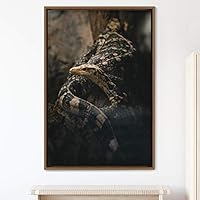Framed Canvas Wall Art Snake Contemporary Dramatic Hallway Multicolor Photography Reptiles Snakes - 16x24 inches