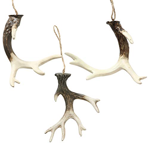 WHW Whole House Worlds Farmers Market Antlers, Set of 3, Bleached Tips, Rustic Brown Bases, Natural Twine Hanger, Each 5 Inches Long, Hand Cast Polyresin Sculptures