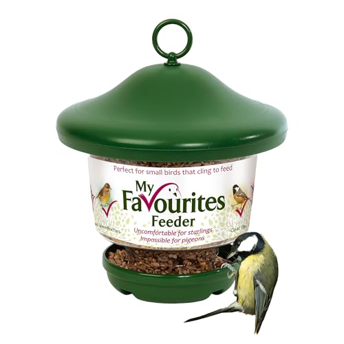 Small Bird Feeders for Small Birds Only - Jacobi Jayne® My Favourites™ Lantern Bird Feeder - Mealworm Feeder - Pigeon Proof Bird Feeder for Hanging or Pole Mounting - Seed Feeders for Wild Birds