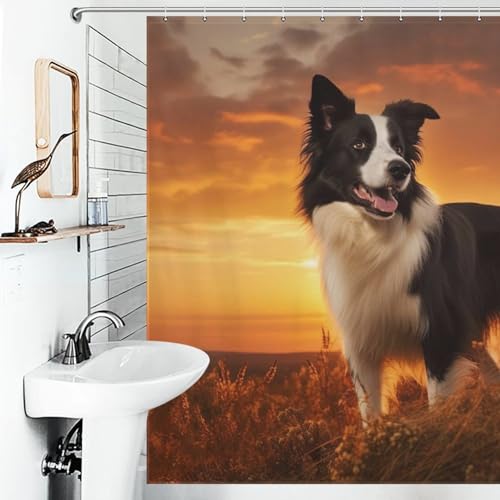 Rideau de douche chien imperméable fini les inondations de salle de bain