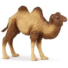 Papo - Realistic Bactrian Camel Figure Toy for Kids - Ages 3+ Wild Life Collection - Educational Play Exotic Animals - Gift Idea Toy for Girls and Boys - 4.6 In